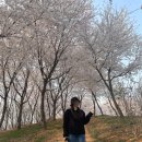 춘의동145 | 23.04 🌸봄🌸