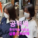 살롱드브리에 이미지