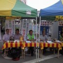 삼라마이다스 이미지