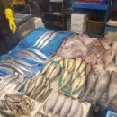 아도수산 이미지