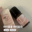 와이블룸 | 인스타 광고에 혹해서 사본 와이블룸 와이로지 내돈내산 솔직 후기