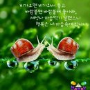 한홀초등학교 이미지