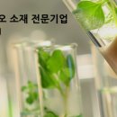 주식회사 소나무처럼 이미지