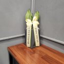 버텍스 회기점 이미지