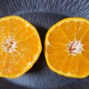 순옥농장 이미지