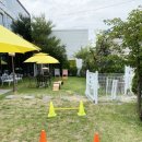 왕짱애견유치원 이미지