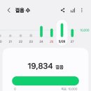 클리프어학원 | 샌디에고 둘쨋날 (도넛바, 씨포트빌리지, 다운타운, 라호야코브, 선셋클리프, 렌터카 반납, 스테이크맛집)