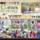 영농조합법인토종식품