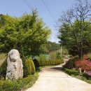 편백연 관광농원 이미지