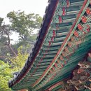 마곡사4 | 유네스코 세계유산 마곡사 템플스테이 휴식형 체험 후기 4