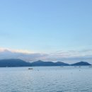 남해-219 | 남해 캠핑장 숙호야영장 19사이트 바다뷰 캠핑장 추천