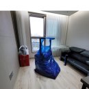 김이사 | 제주 도순동 포장이사 서귀포 도순동에서 새 출발!