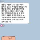 샤라쌤중국어 | 중국어 수업 후기 [단체 수업]