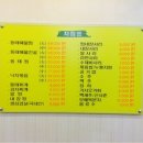 끝내주는 동태찌개 이미지