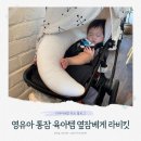 평화(두상) | 통잠 없는 영유아 아기를 위한 두상관리 육아템 옆잠베개, 라비킷 커들업 내돈내산 리뷰
