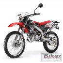 최강 50 cc 이미지