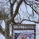 영천 구 화룡교 이미지