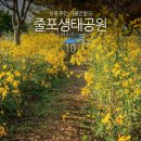 국내 가을여행지 추천 전북 부안 가볼만한곳 가을 꽃구경