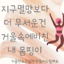 꽃보다점핑