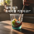 신*익 - 영덕군 영덕로 | 여름철 초파리 없애는 법, 식초부터 트랩까지 해본 후기