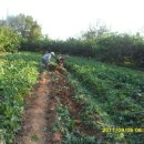 짱가농장 이미지