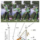 🏌‍♂️골프 스윙은 최소4중 진자 운동이다 이미지