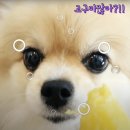 지리산하늘과바람과별과개