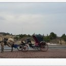 김형익 행정사 사무소 이미지