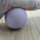 통증 잡는 마사지볼 이미지