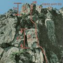 그루터기 이미지