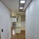 헤르지아