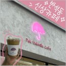 핑크 엄브렐라(pink umbrella)
