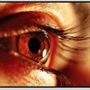 더클래식의원 이미지