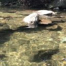 동궁쉼터 이미지