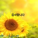 알파행정사 네이버블로그