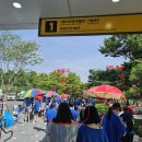 세븐일레븐 인천아시아드점 | 싸이콘서트만 4회 다녀온 후기/과천1공 공연중단