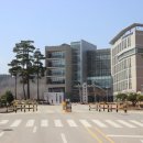 동해-단속-30 이미지