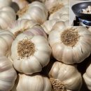 사람과 기(氣) 식품 이미지