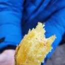 경남 하동 다목적 캠핑장,텐트사이트, 카라반,모빌홈,바베큐,불멍,캠핑은역시 겨울이 제맛!!