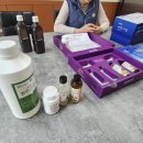 아미리다