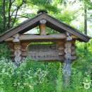 무릉도원면-45 이미지