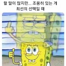 피자판다 이미지