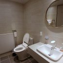 호텔네모 | 우리 댕댕이의 인생샷을 위한 완벽한 선택! 네모 애견동반 풀빌라 펜션 후기