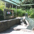 서재골(상) 이미지