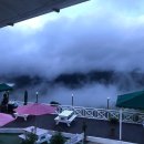 다상농장 이미지