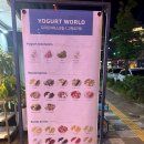 요거트월드 별내점