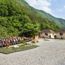 별의계곡 이미지