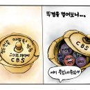 거짓의 비진리의 단체 한기총 CBS기독교 방송국 이미지