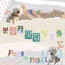 빨간머리앤 | [다락원] 나의 첫 영어 필사: 빨간머리앤 내돈내산 후기