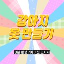 반려동물의상제작 이미지